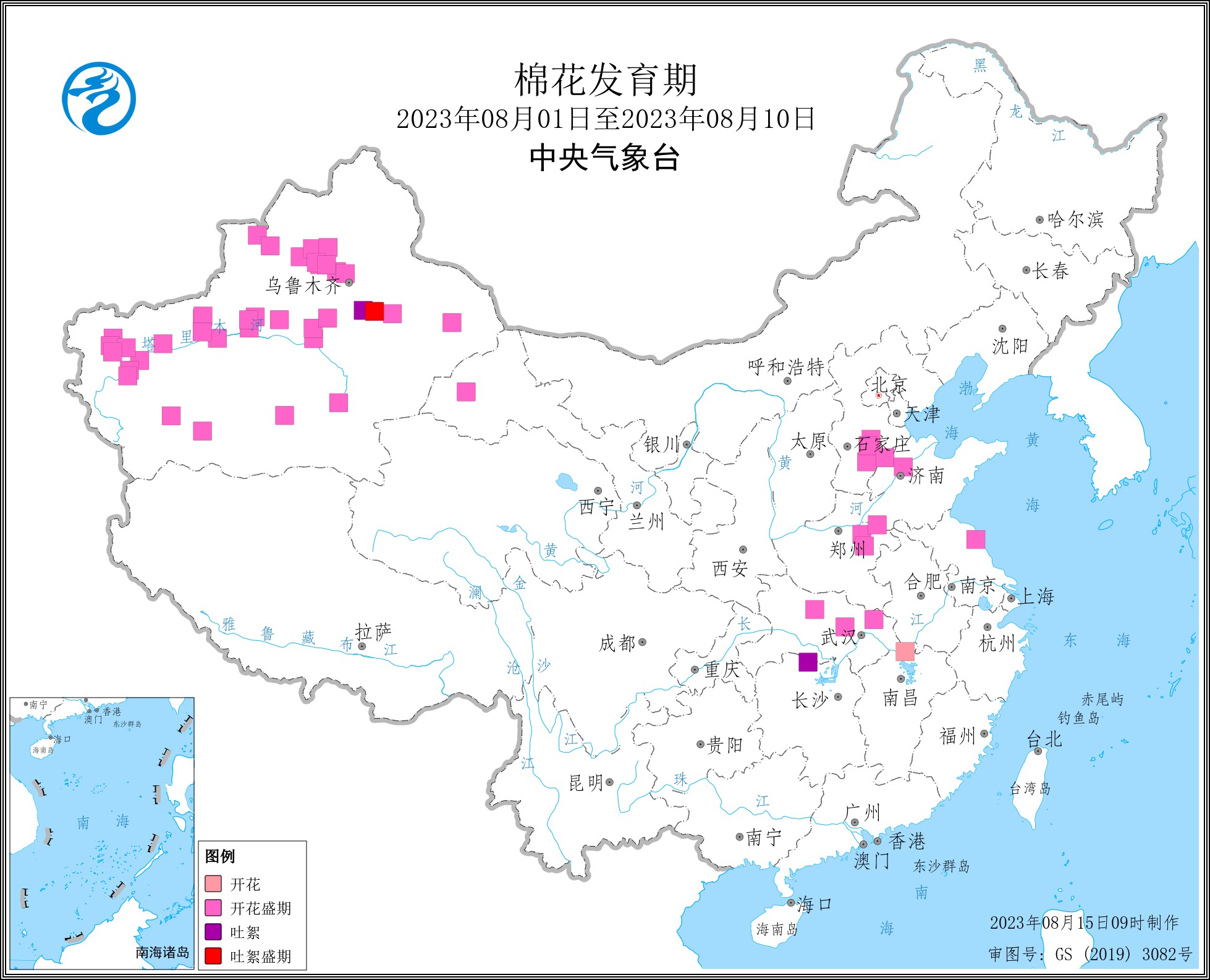 2023年8月上旬棉花发育期.jpg
