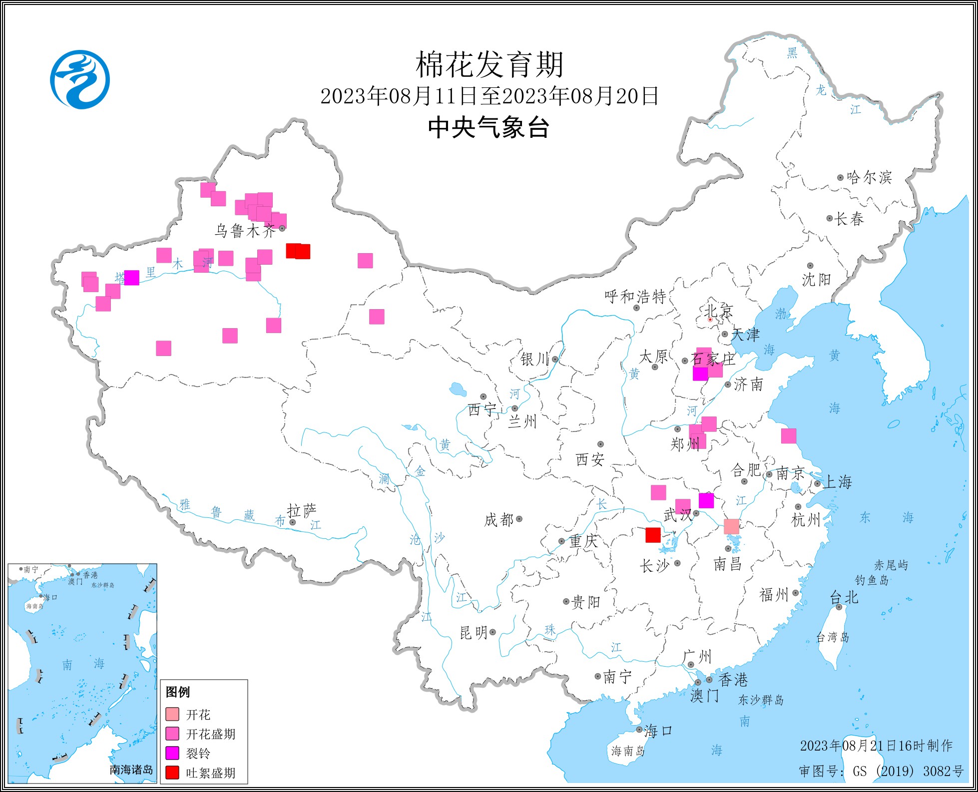 2023年8月中旬棉花发育期.jpg