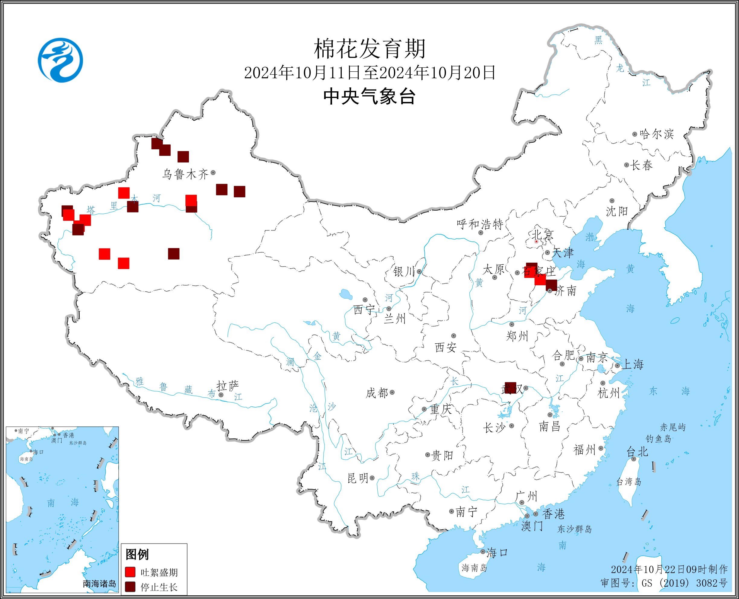 2024年10月中旬棉花发育期.jpg