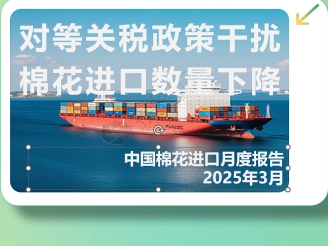 对等关税政策干扰 棉花进口数量下降 ——中国棉花进口月度报告（2025年3月）