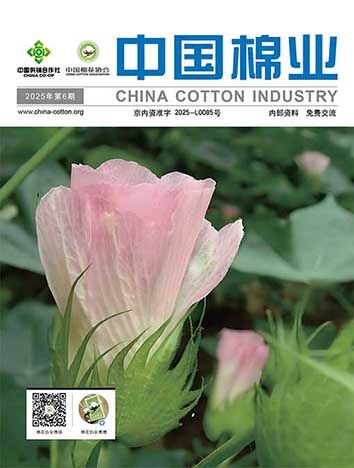 会刊封面.jpg