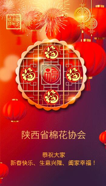 陕西省棉花协会拜年.jpg