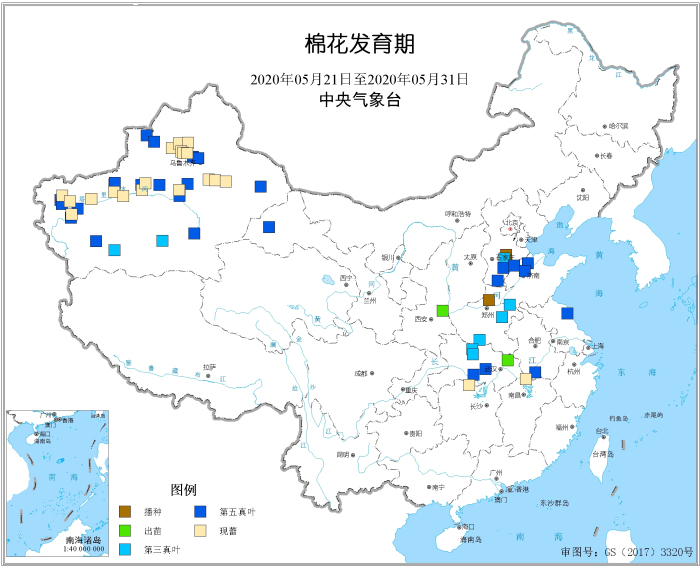 2020年5月下旬棉花发育期.jpg