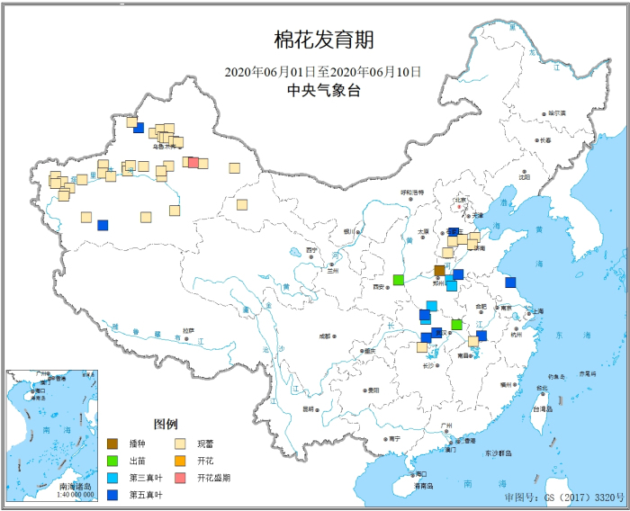 2020年6月上旬棉花发育期.jpg