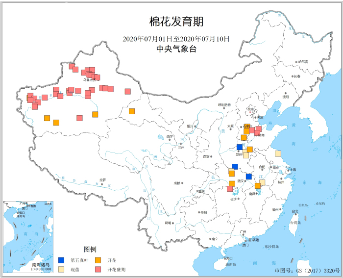 2020年7月上旬棉花发育期.jpg