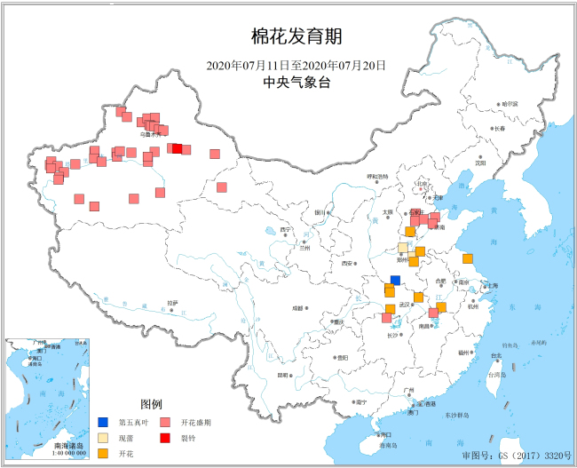 2020年07月11日至2020年07月20日棉花发育期.jpg