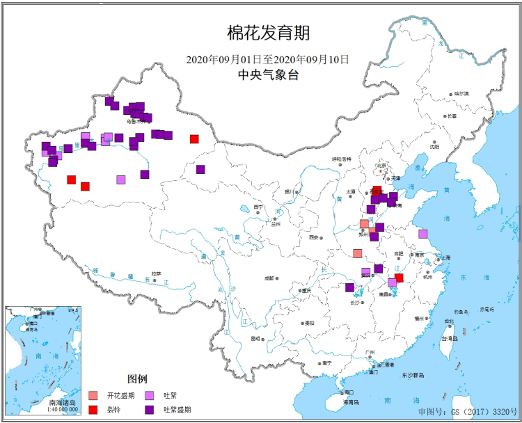 2020年9月上旬棉花发育期.jpg