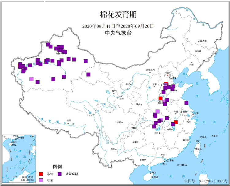 2020年9月中旬棉花发育期.jpg