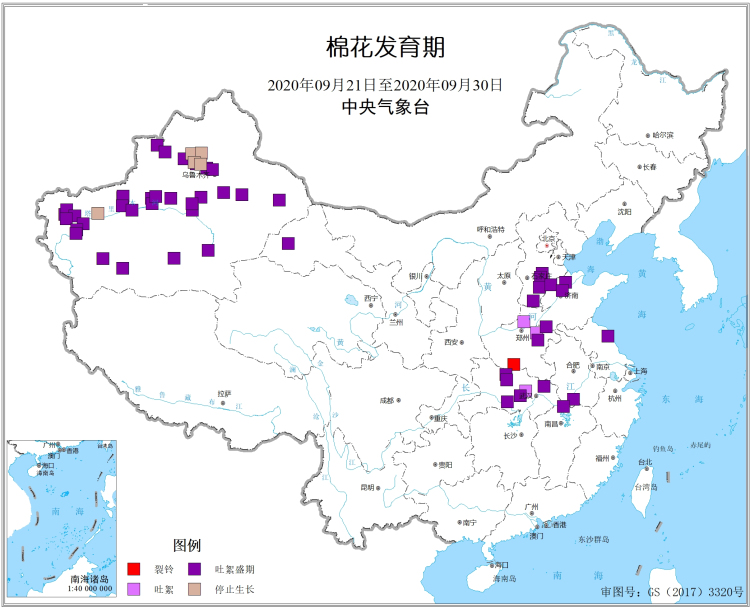 2020年9月下旬棉花发育期.jpg