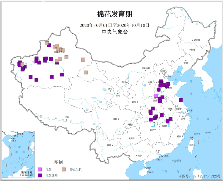 2020年10月上旬棉花发育期.jpg
