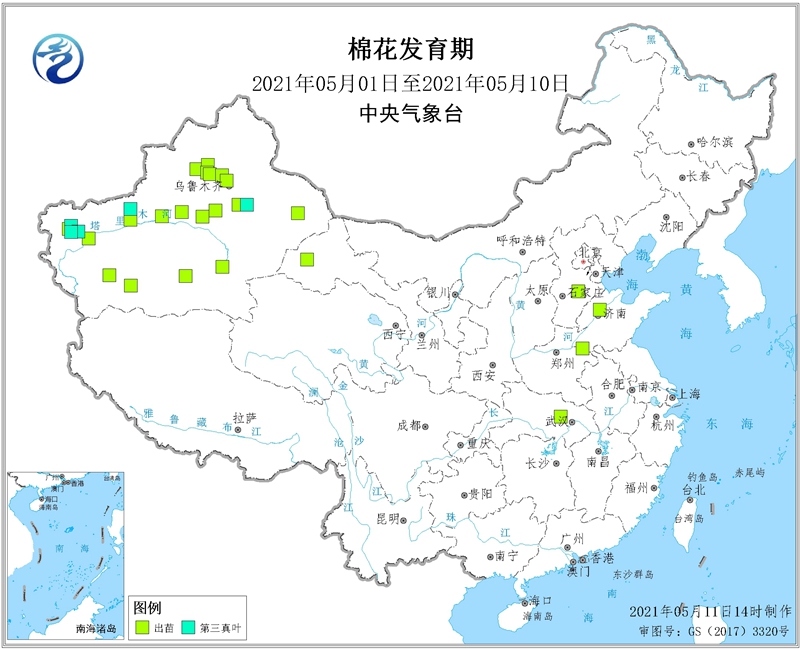 2021年5月上旬棉花发育期_副本.jpg
