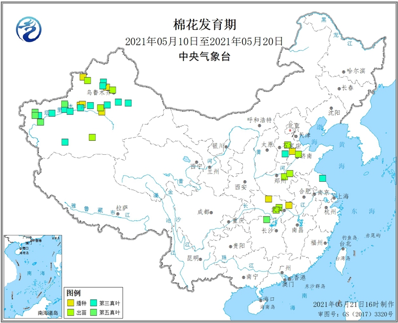 2021年5月中旬棉花发育期_副本.jpg
