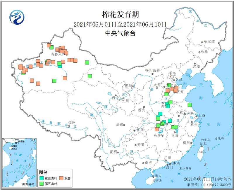 2021年6月上旬棉花发育期_副本.jpg