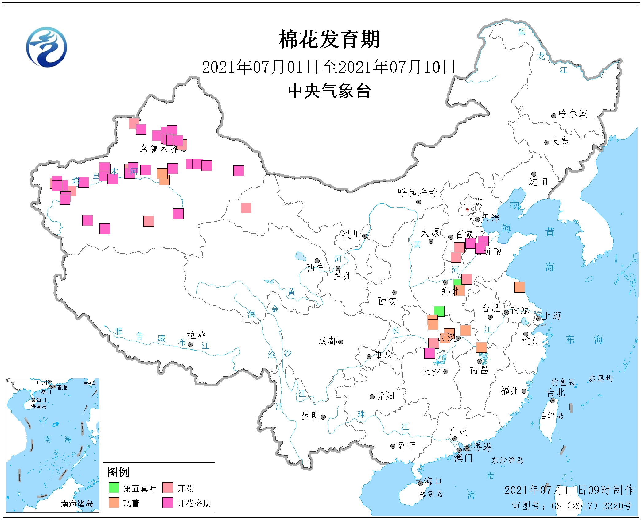 2021年7月上旬棉花发育期.jpg