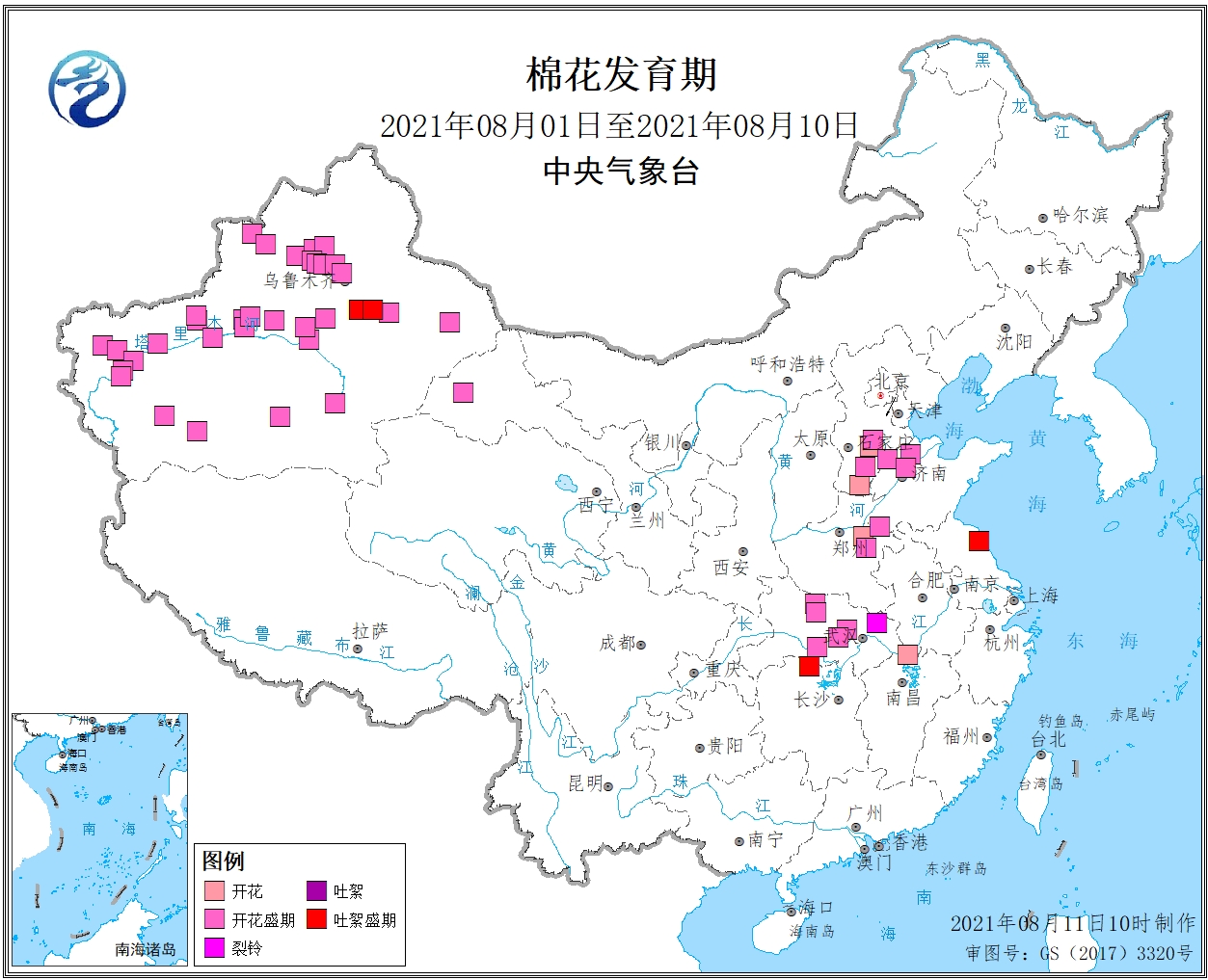 2021年8月上旬棉花发育期.jpg