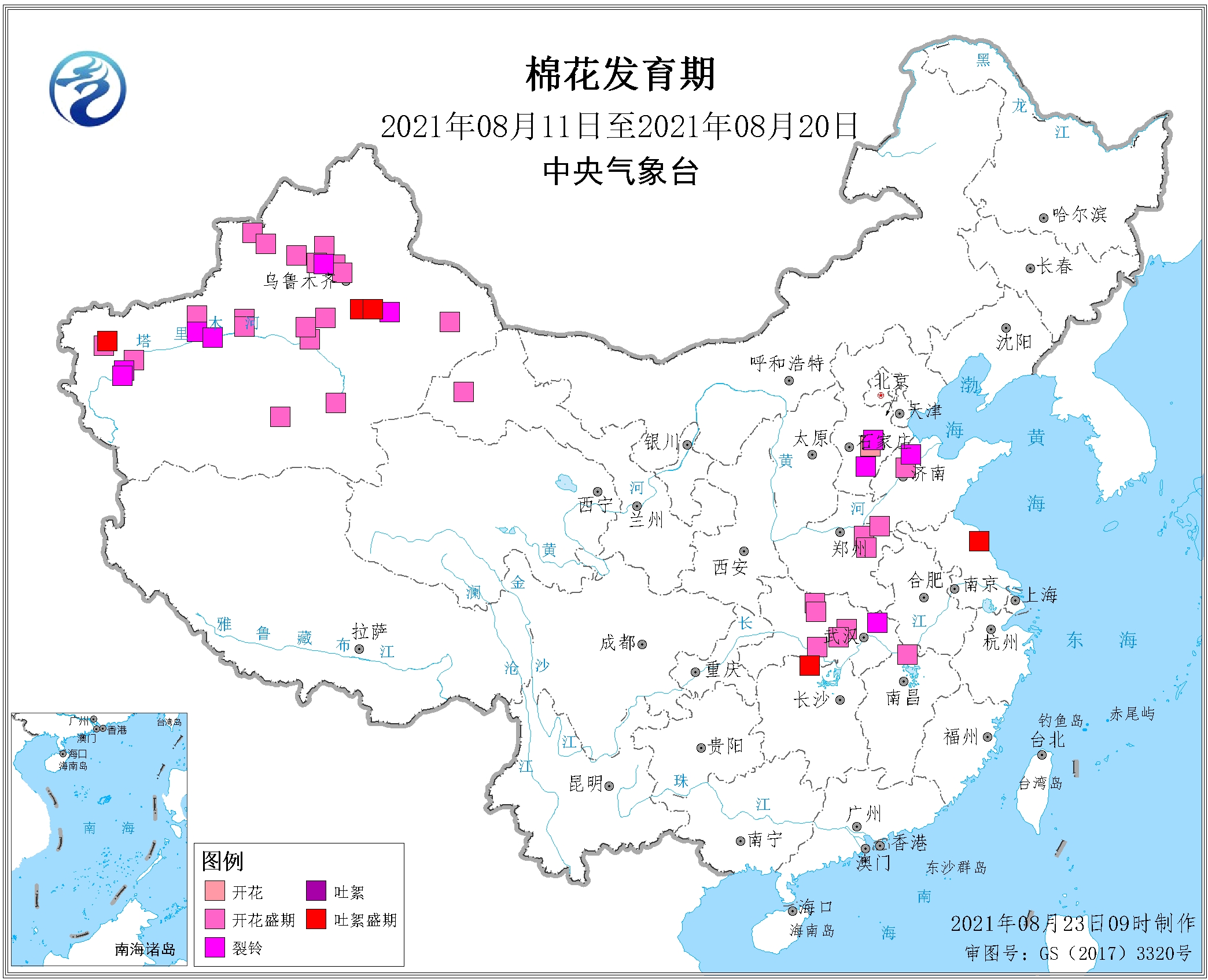 2021年8月中旬棉花发育期.jpg
