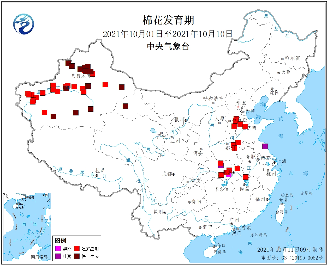 2021年10月上旬棉花发育期.jpg