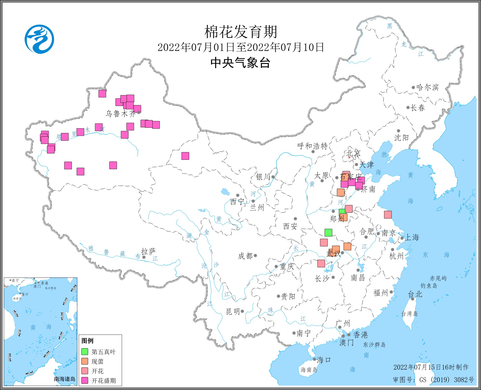 2022年7月上旬棉花发育期.jpg