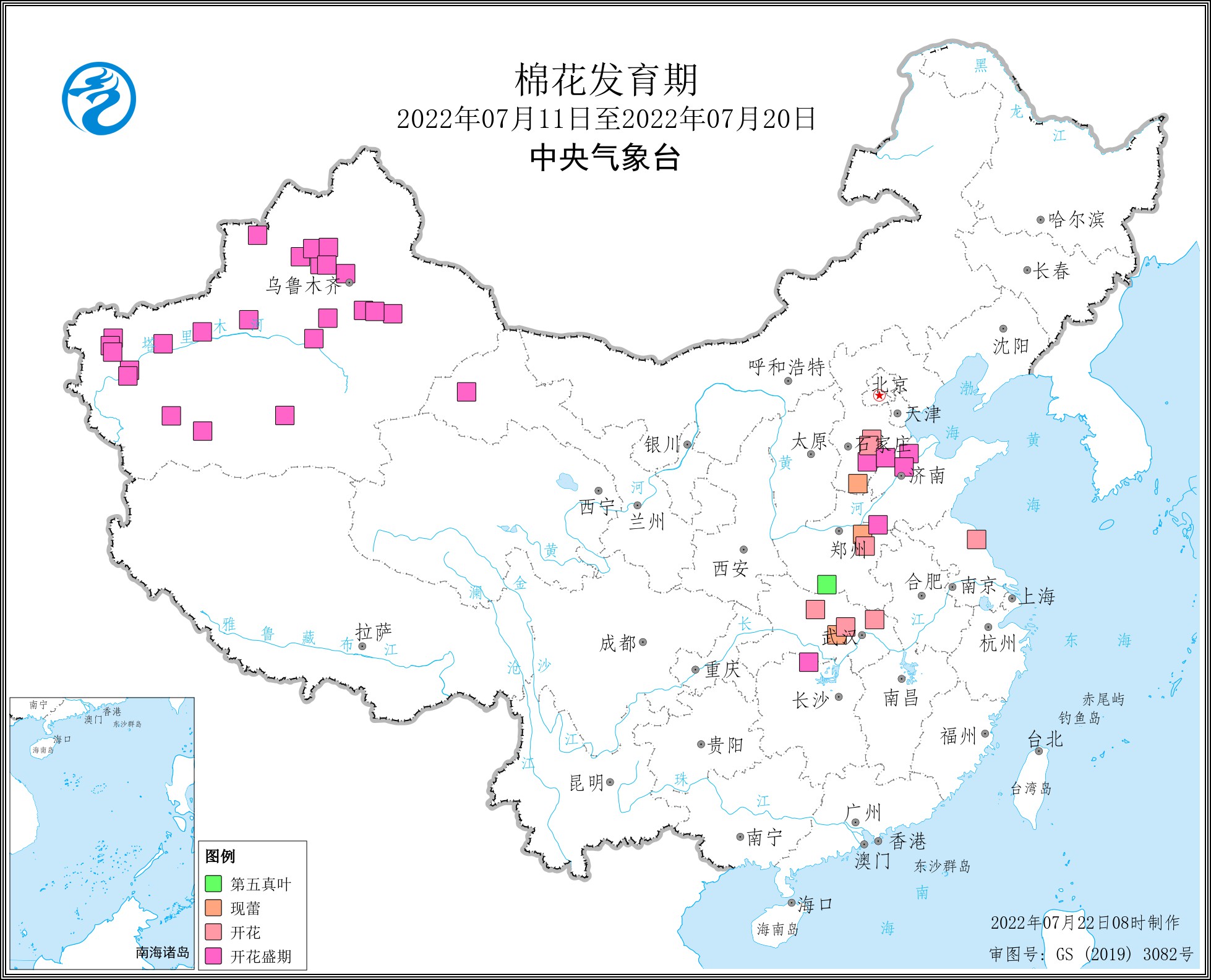 2022年7月中旬棉花发育期.jpg