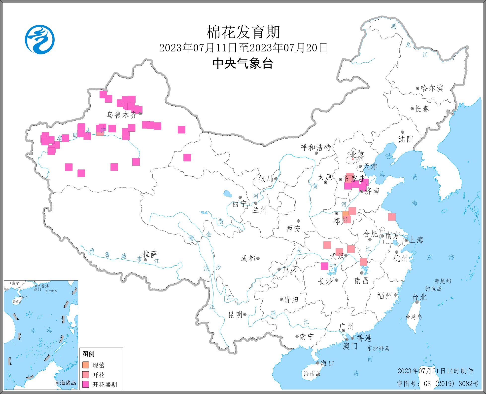 2023年7月中旬棉花发育期.jpg