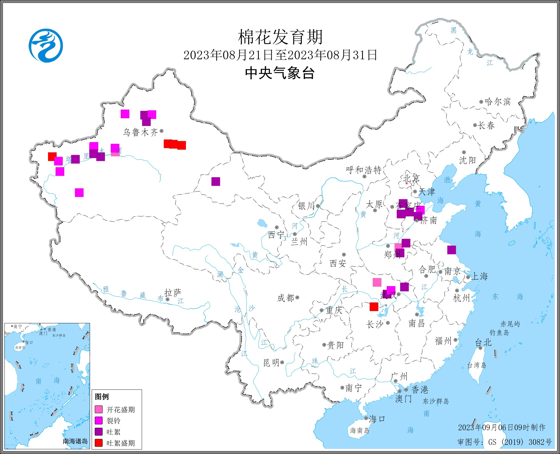 2023年8月下旬棉花发育期.jpg