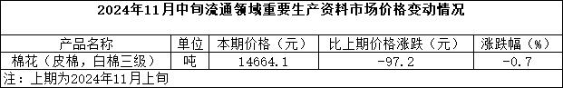 24年11月中旬.jpg