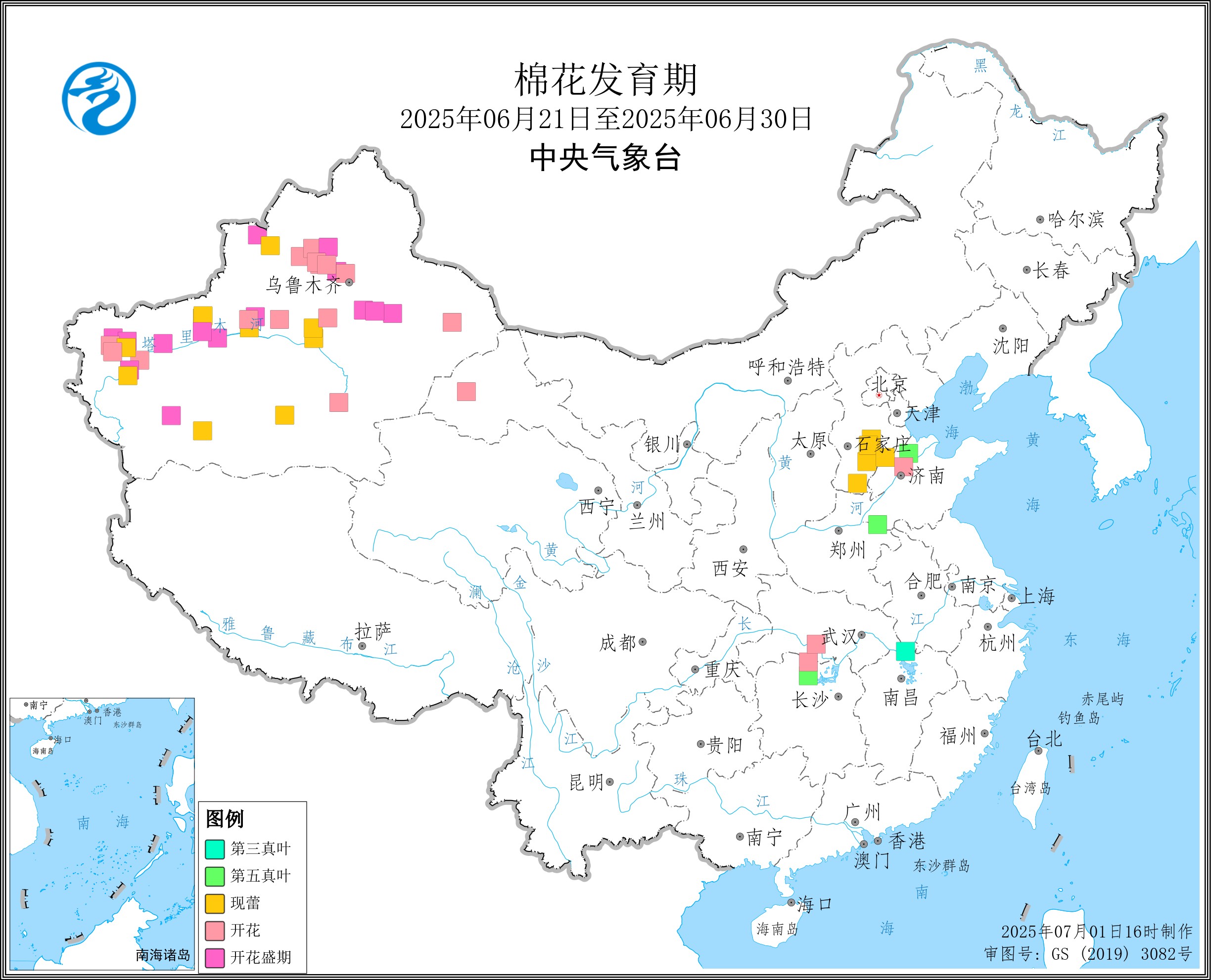 2025年6月下旬棉花发育期.jpg