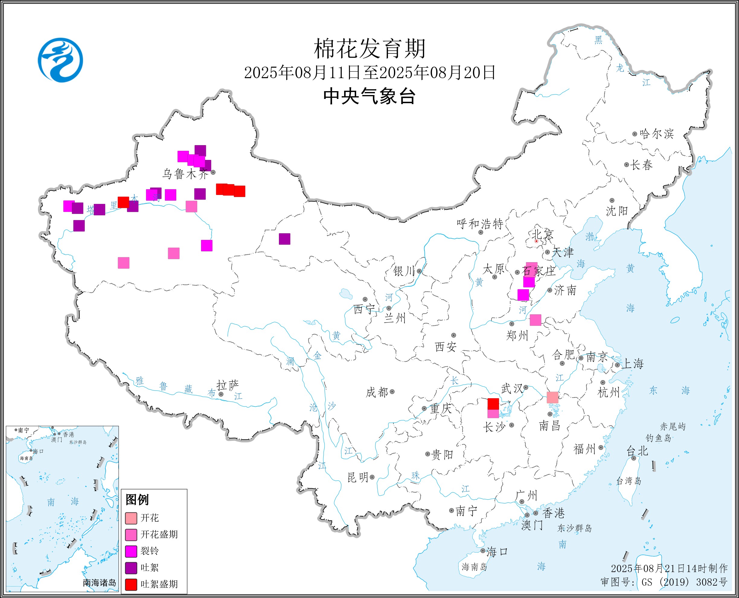 2025年8月中旬棉花发育期.jpg